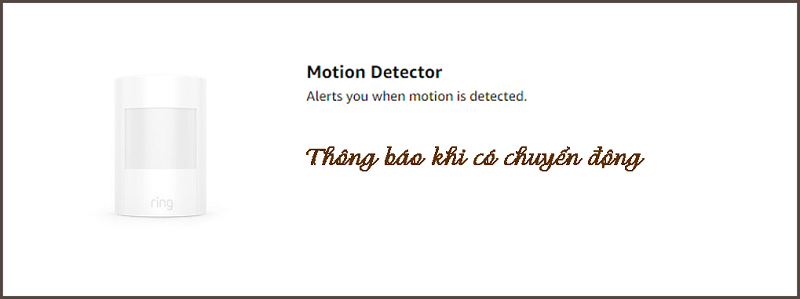 motion alarm