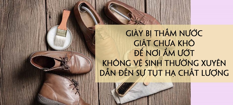 nguyen nhan giay bi xuong cap ve chat luong