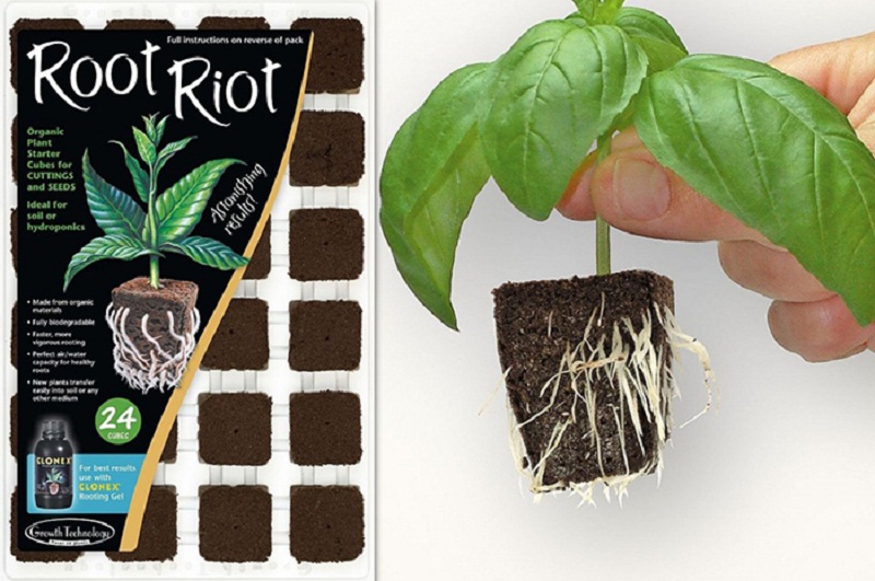 phan-bon-root-riot