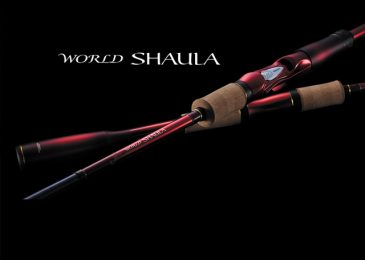 can cau Shimano World Shaula