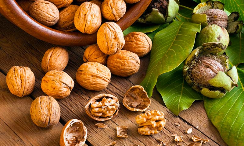 hạt dinh dưỡng loại nào tốt