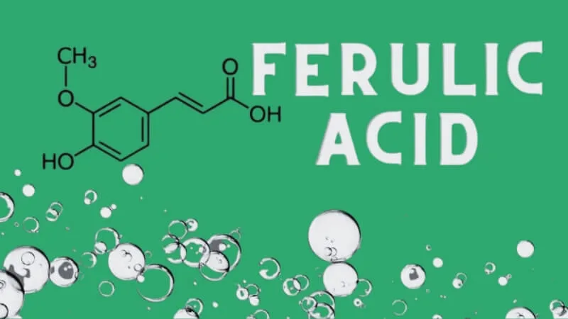 Ferulic acid là gì?