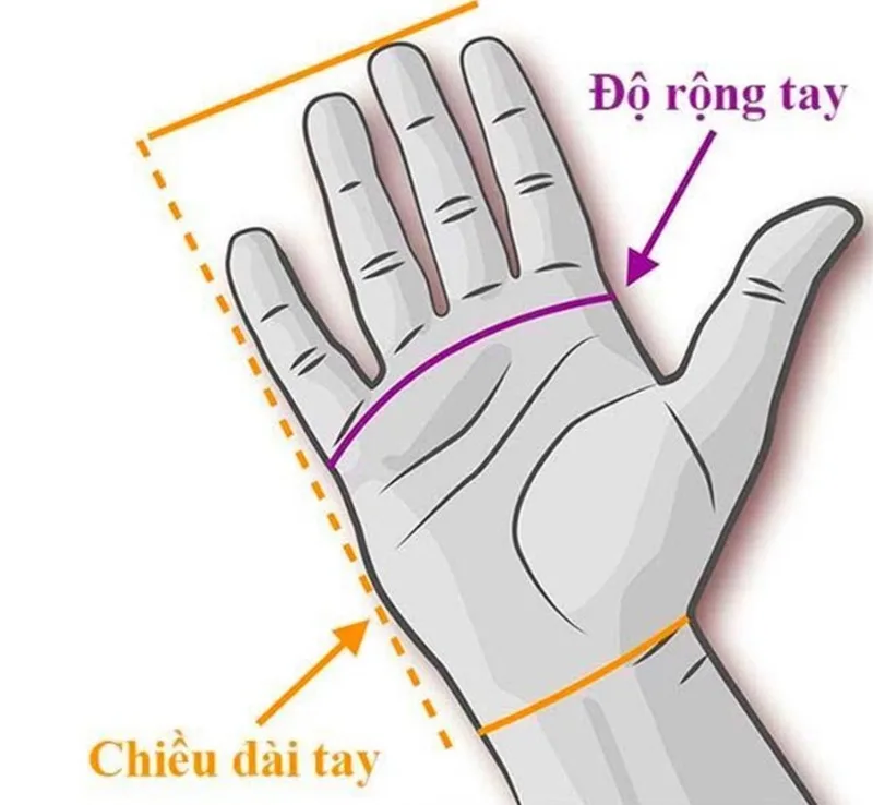 Đo theo chiều rộng bàn tay