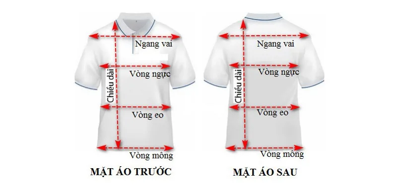 Tham khảo cách đo kích thước cơ thể chọn size áo Bulbal chuẩn nhất