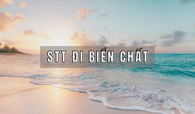 STT đi biển chất