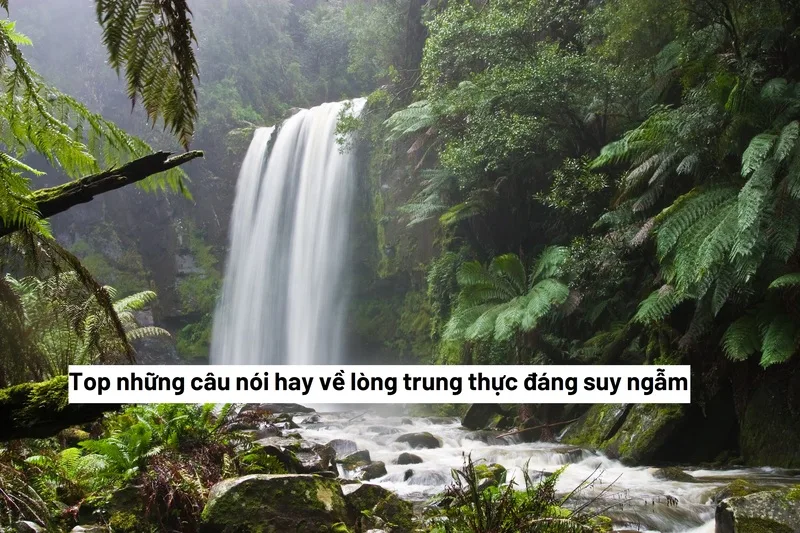 Top những câu nói hay về lòng trung thực đáng suy ngẫm