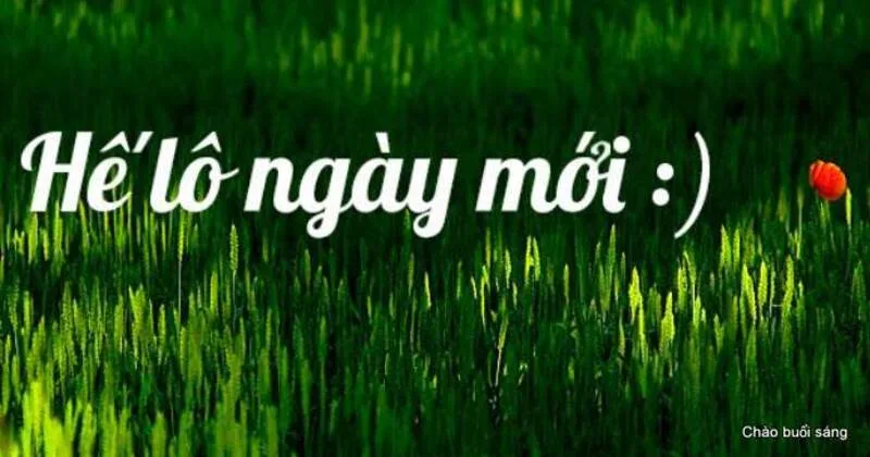 40+ stt chào ngày mới vui nhộn hài hước đáng yêu