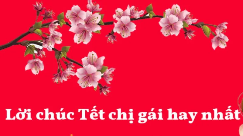 chuc-mung-nam-moi-chi-gai-1