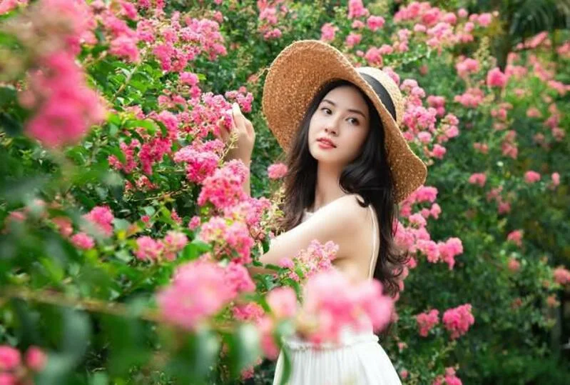 40 STT về hoa tường vi về tình yêu cuộc sống hay ý nghĩa