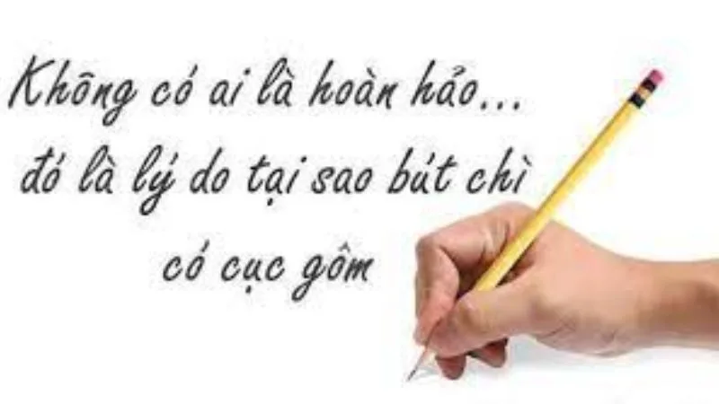 stt-khong-ai-hoan-hao-ca