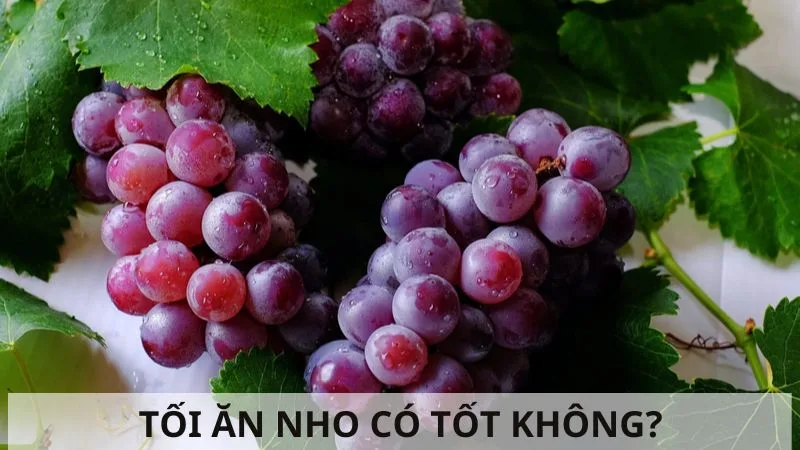 toi-an-nho-co-tot-khong