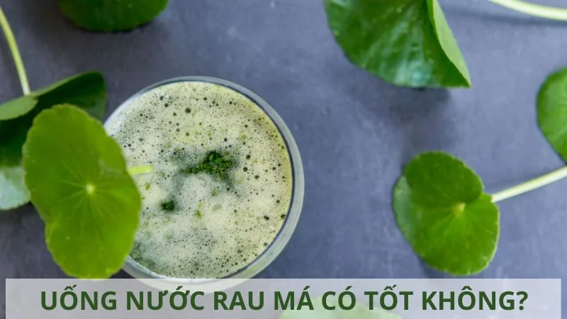 uong-nuoc-rau-ma-nhieu-co-tot-khong