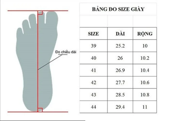 Chân 25cm đi giày size bao nhiêu thích hợp nhất?