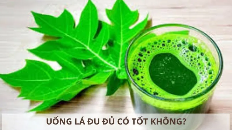 uong-la-du-du-co-tot-khong