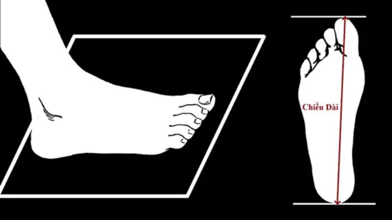 bang-size-giay-converse-2
