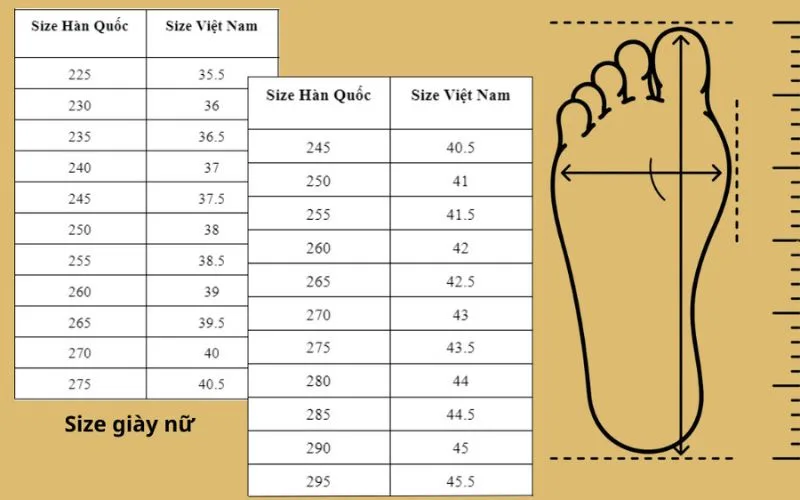 Size giày 250 là bao nhiêu size ở Việt Nam? cách quy đổi chuẩn nhất