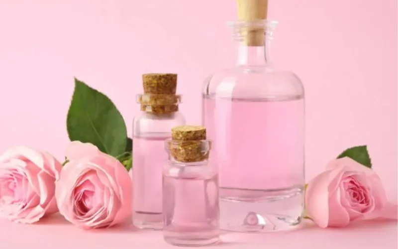 Nước hoa hồng và serum dùng cái nào trước sẽ tốt nhất? Các bước thứ tự dùng