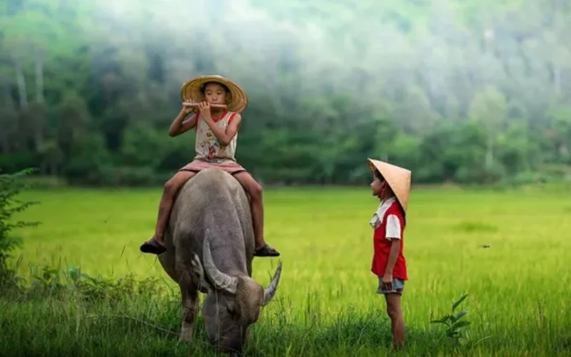 Những câu nói hay về kỉ niệm đáng nhớ mãi khắc ghi trong lòng