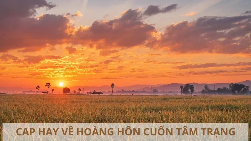 tong-hop-cap-hay-ve-hoang-hon-cuc-cuon-tam-trang