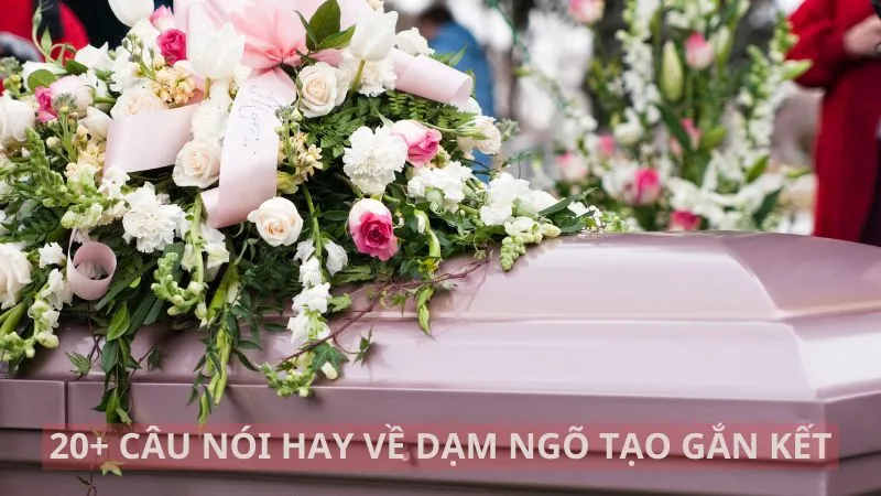 20-cau-noi-hay-ve-dam-ngo