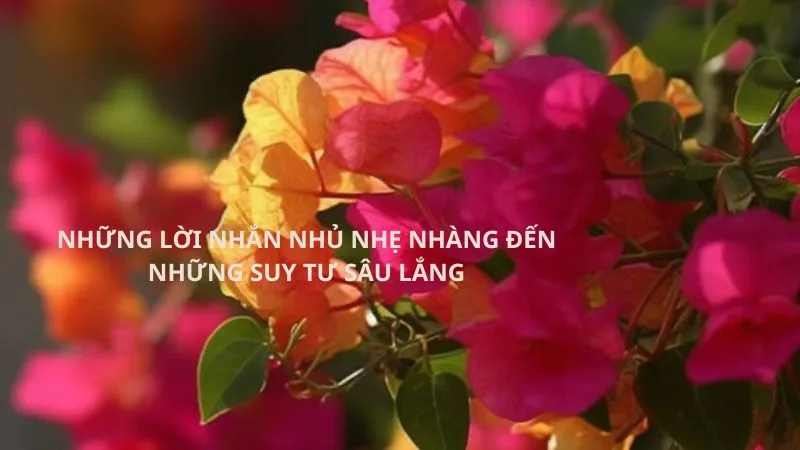 50-cap-stt-hoa-giay-hay