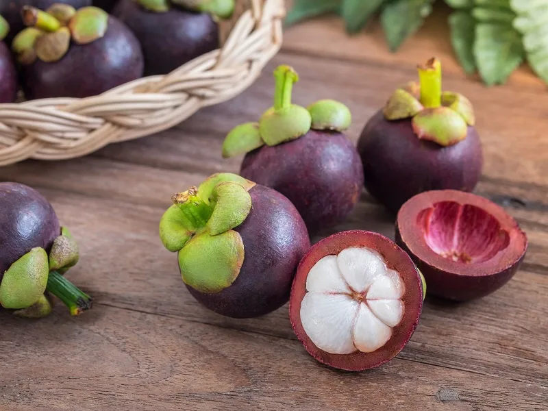 Măng cụt kỵ với gì? Thành phần ra sao? Công dụng thế nào?