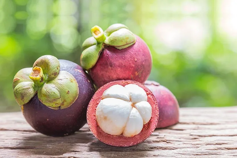 Măng cụt kỵ với gì? Thành phần ra sao? Công dụng thế nào?