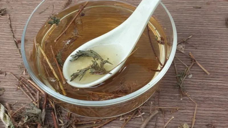 uong-nuoc-cay-xau-ho-co-tac-dung-gi-3