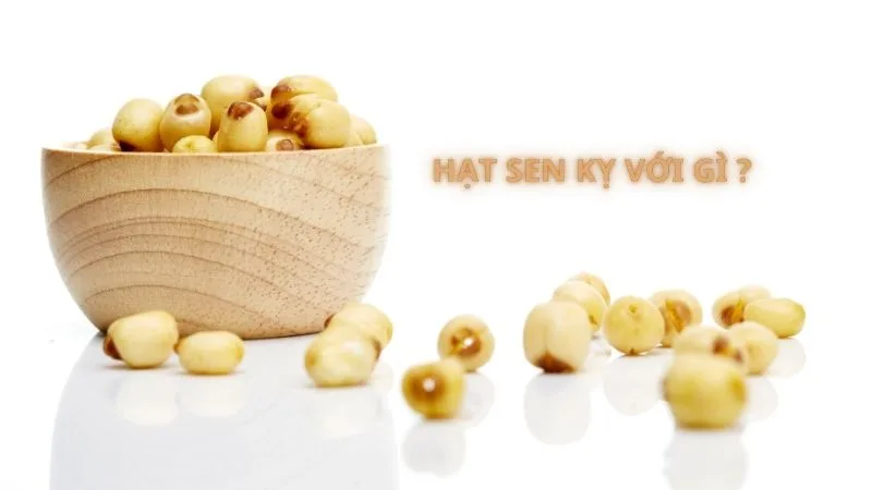 hat-sen-ky-voi-gi-cach-su-dung-hat-sen-dung-de-bao-ve-suc-khoe