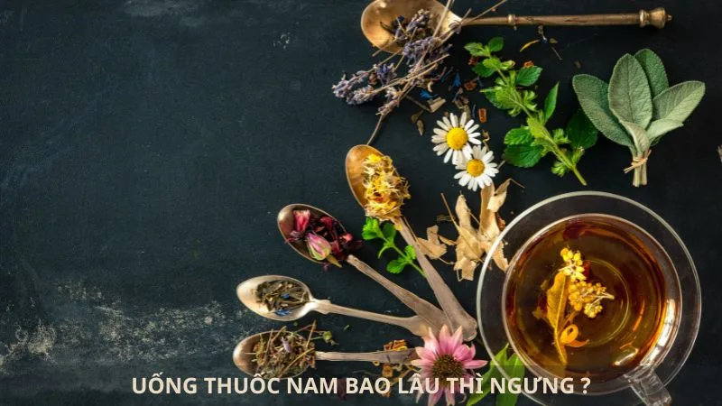 uong-thuoc-nam-bao-lau-thi-ngung-4