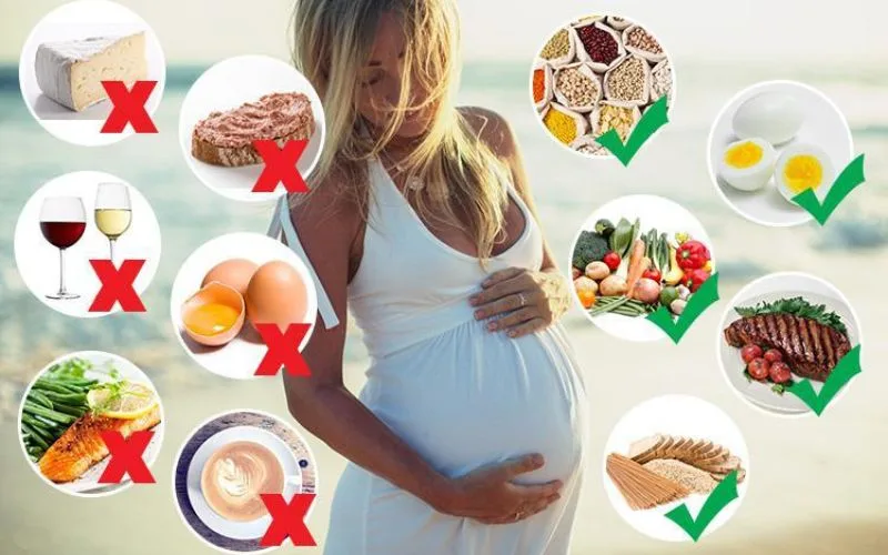 Ăn gì để phôi bám tốt? Thực đơn 7 ngày sau chuyển phôi cực chất
