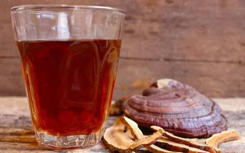Nên uống nấm linh chi trong bao lâu? uống lúc nào tốt? ai không nên uống?
